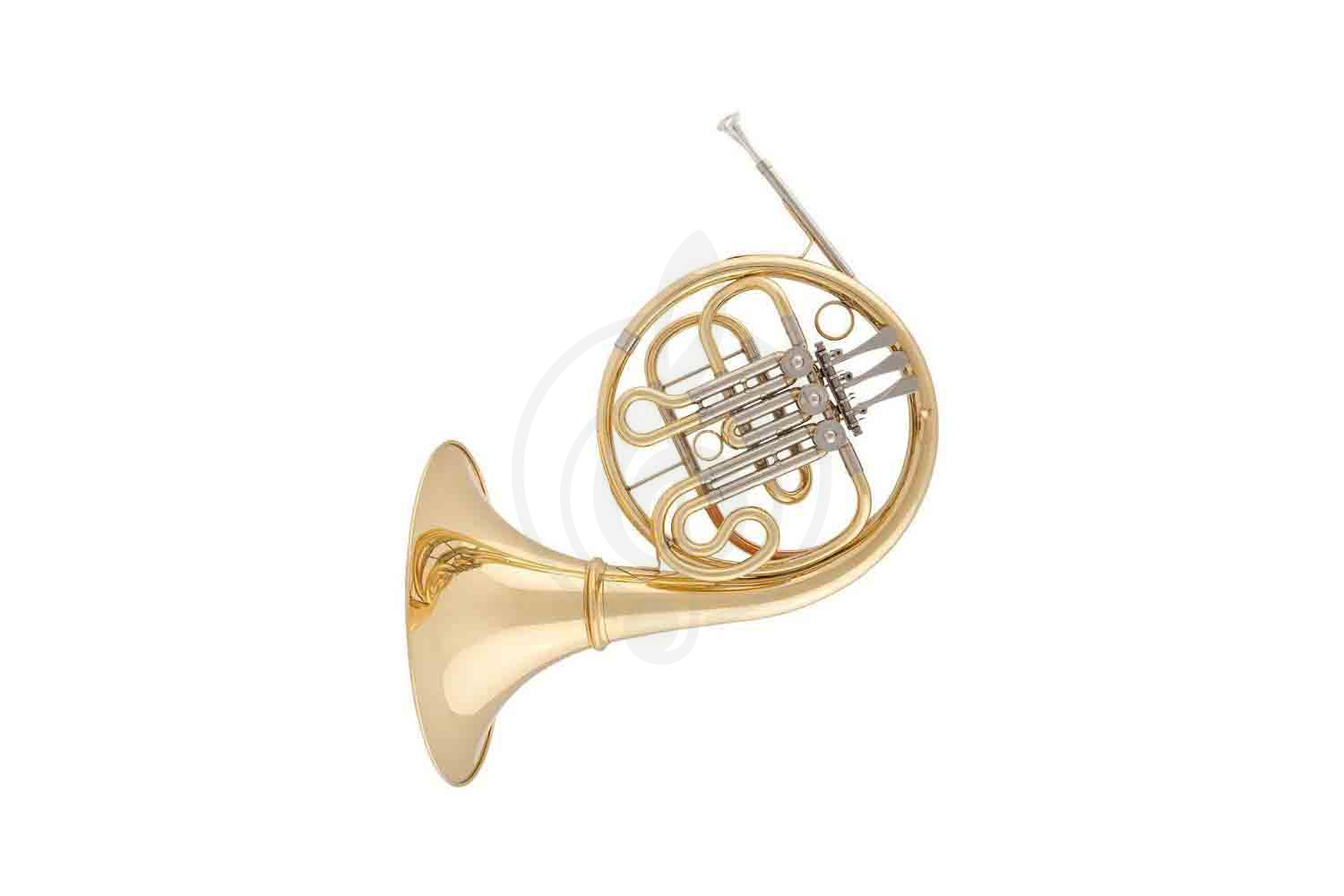 Валторна Eastar EFH-310 - Валторна,  EFH-310 в магазине DominantaMusic - фото 1