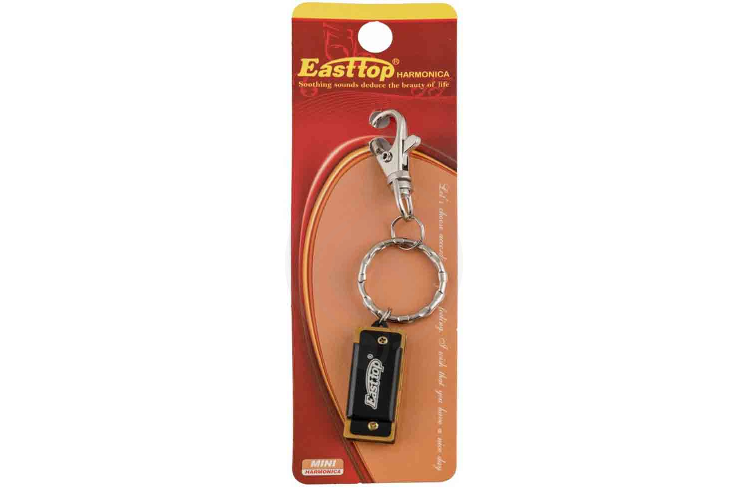 Детская губная гармошка EASTTOP DF4S BLACK - Уменьшенная гармошка, EASTTOP DF4S BLACK в магазине DominantaMusic - фото 3