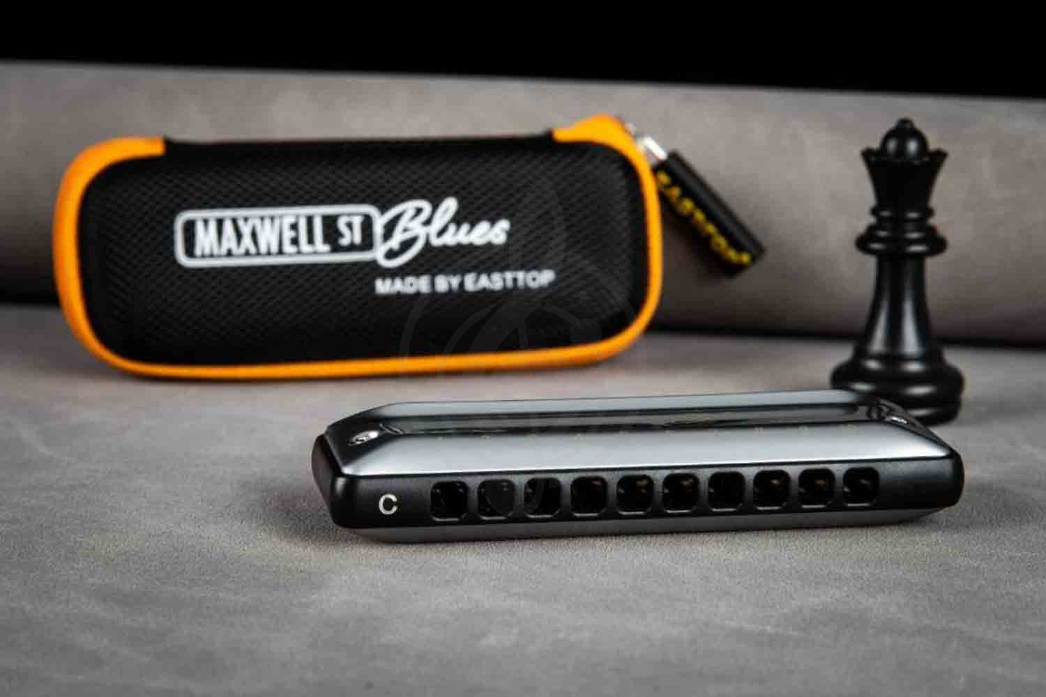 Диатоническая губная гармошка EASTTOP MS030 C (Maxwell ST) - Диатоническая губная гармошка, EASTTOP MS030 C в магазине DominantaMusic - фото 9