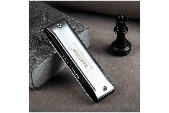 Диатоническая губная гармошка EASTTOP MS030 C (Maxwell ST) - Диатоническая губная гармошка, EASTTOP MS030 C в магазине DominantaMusic - фото 7