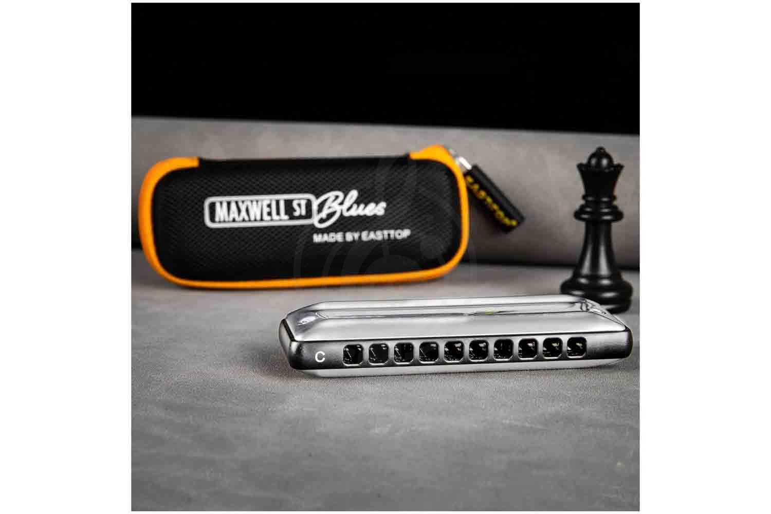 Диатоническая губная гармошка EASTTOP MS030 E (Maxwell ST) - Диатоническая губная гармошка, EASTTOP MS030 E в магазине DominantaMusic - фото 9