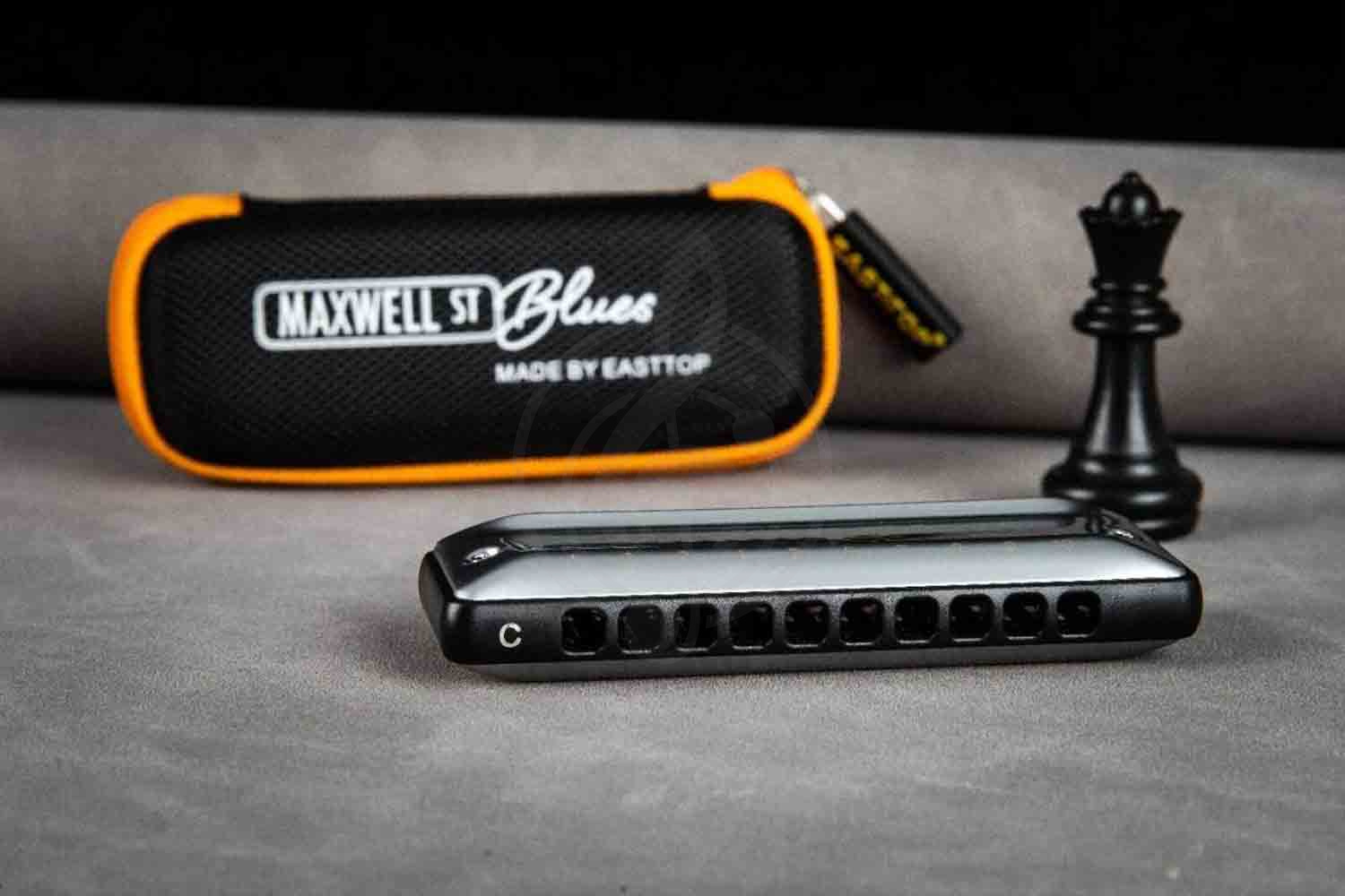 Диатоническая губная гармошка EASTTOP MS030 G (Maxwell ST) - Диатоническая губная гармошка, EASTTOP MS030 G в магазине DominantaMusic - фото 2