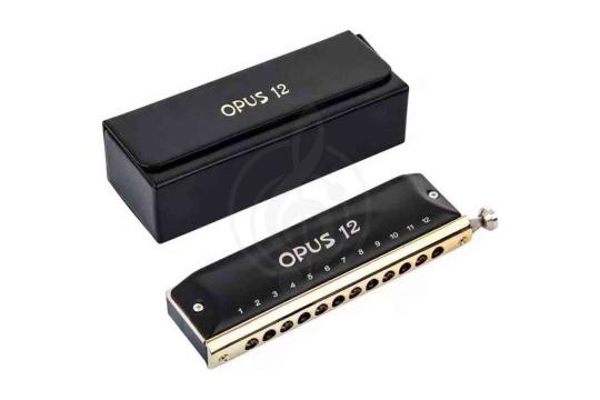 Хроматическая губная гармошка EASTTOP OPUS 12 C - Гармошка губная хроматическая, EASTTOP OPUS 12 C в магазине DominantaMusic - фото 3