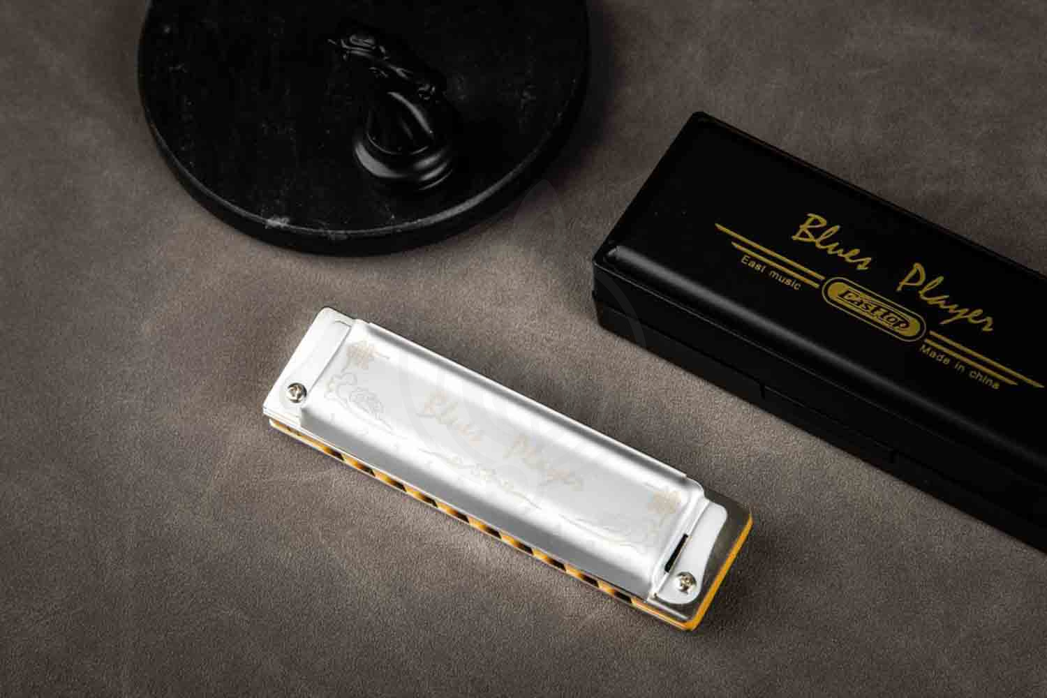 Диатоническая губная гармошка EASTTOP PR020 2.0 Bb - Диатоническая губная гармошка, EASTTOP PR020 2.0 Bb в магазине DominantaMusic - фото 5