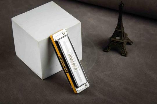 Диатоническая губная гармошка EASTTOP PR020 2.0 D - Диатоническая губная гармошка, EASTTOP PR020 2.0 D в магазине DominantaMusic - фото 13