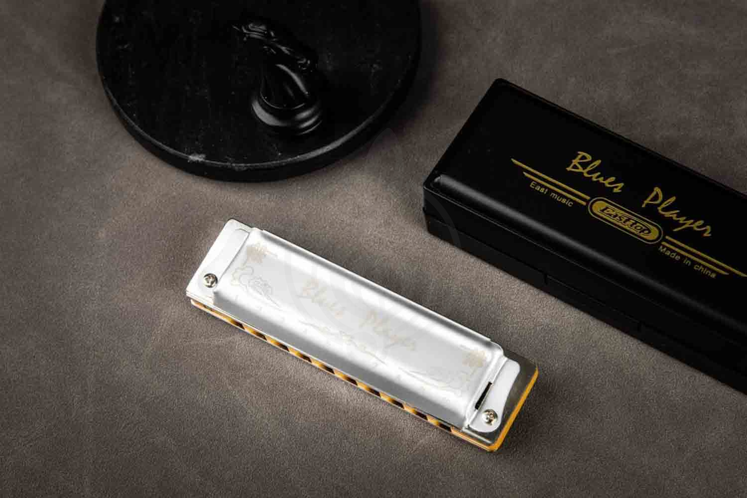 Диатоническая губная гармошка EASTTOP PR020 2.0 E - Диатоническая губная гармошка, EASTTOP PR020 2.0 E в магазине DominantaMusic - фото 2