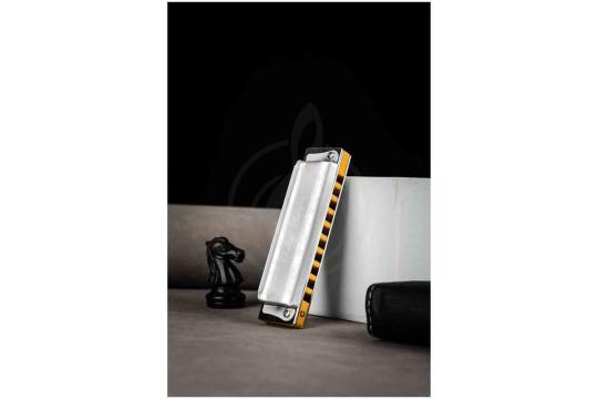 Диатоническая губная гармошка EASTTOP PR020 2.0 G - Диатоническая губная гармошка, EASTTOP PR020 2.0 G в магазине DominantaMusic - фото 7