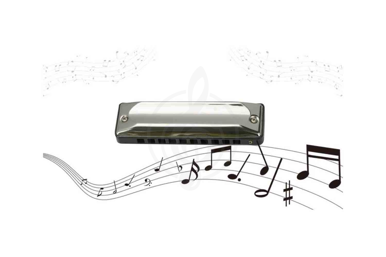 Диатоническая губная гармошка EASTTOP T002 G - Диатоническая губная гармошка, EASTTOP T002 G в магазине DominantaMusic - фото 4