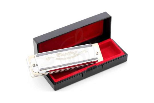Диатоническая губная гармошка EASTTOP T008 A Nm - Диатоническая губная гармошка, EASTTOP T008 A Nm в магазине DominantaMusic - фото 4