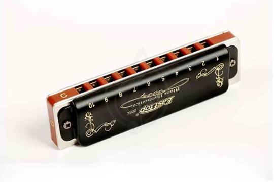 Диатоническая губная гармошка EASTTOP T008K Paddy A - Диатоническая губная гармошка, EASTTOP T008K Paddy A в магазине Доминанта мьюзик - фото 4