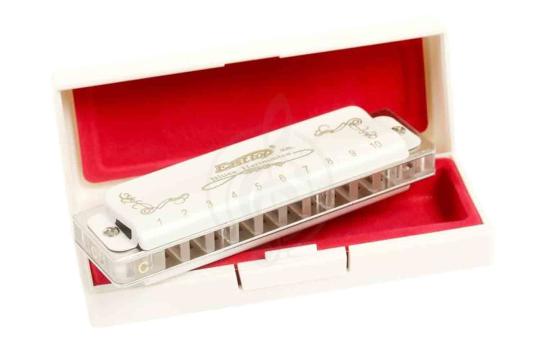 Диатоническая губная гармошка EASTTOP T008L F - Диатоническая губная гармошка, EASTTOP T008L F в магазине DominantaMusic - фото 5