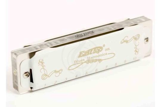 Диатоническая губная гармошка EASTTOP T008L G - Диатоническая губная гармошка, EASTTOP T008L G в магазине DominantaMusic - фото 4