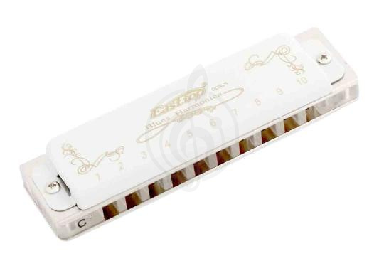 Диатоническая губная гармошка EASTTOP T008LS C - Диатоническая губная гармошка, EASTTOP T008LS C в магазине DominantaMusic - фото 1