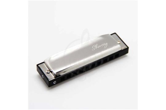 Диатоническая губная гармошка EASTTOP T009 C - Губная гармоника диатоническая, EASTTOP T009 C в магазине Доминанта мьюзик - фото 2