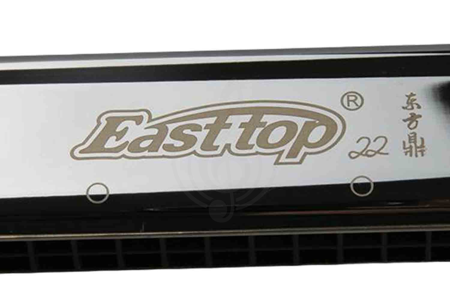 Диатоническая губная гармошка EASTTOP T22 - Гармошка губная тремоло, EASTTOP T22 в магазине DominantaMusic - фото 4