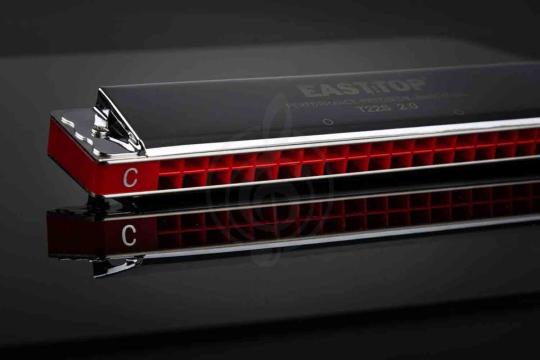 Диатоническая губная гармошка EASTTOP T22S 2.0 - Гармошка губная тремоло, EASTTOP T22S 2.0 в магазине DominantaMusic - фото 12