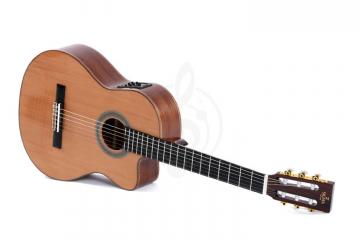 Электроакустическая гитара Электроакустические гитары Sigma Электроакустическая гитара SIGMA CMC-6E+ CMC-6E+ - фото 3