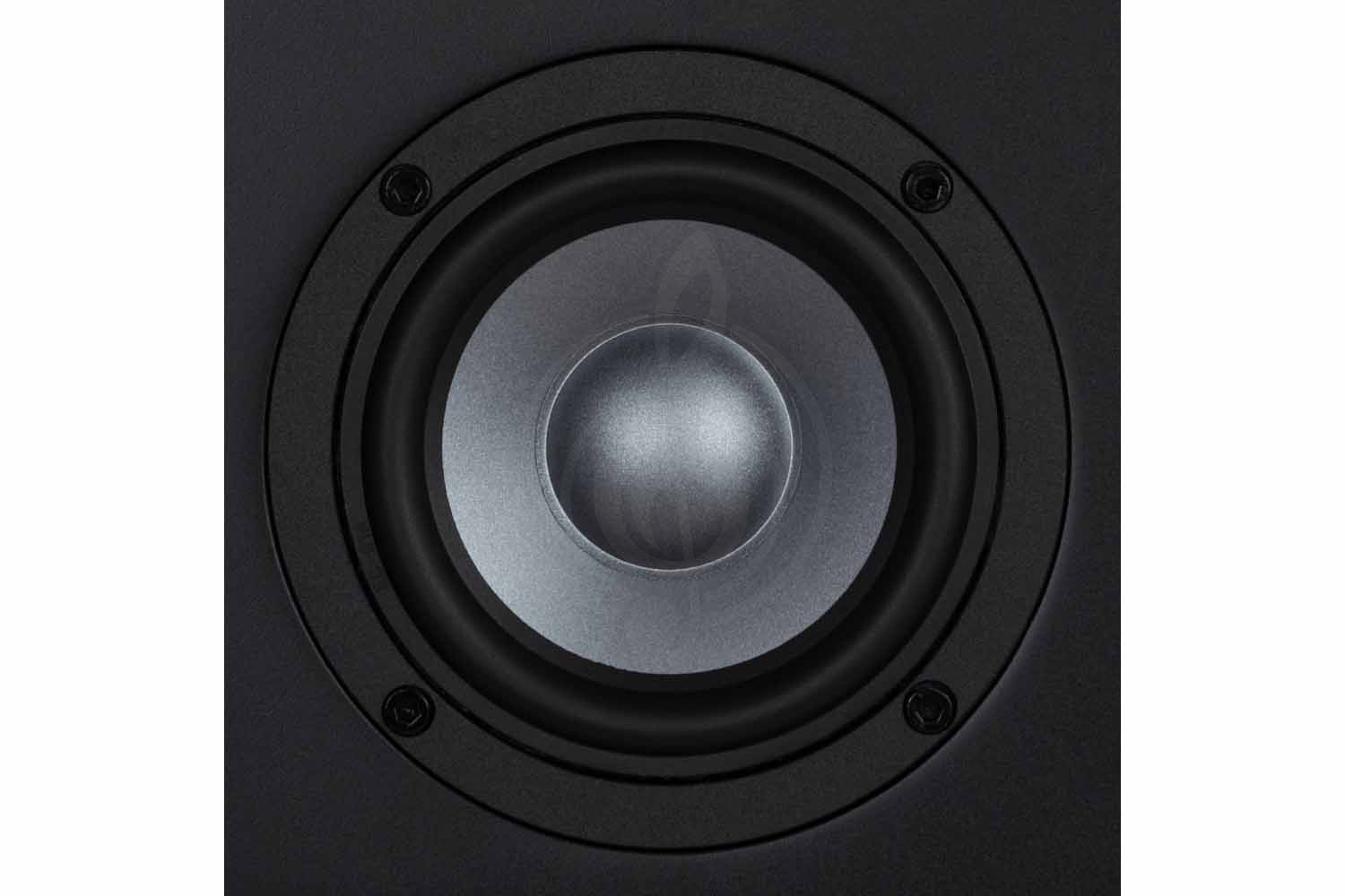 Студийный монитор EVE Audio EXO-24 - Студийный монитор, EVE Audio EXO-24 в магазине Доминанта мьюзик - фото 4