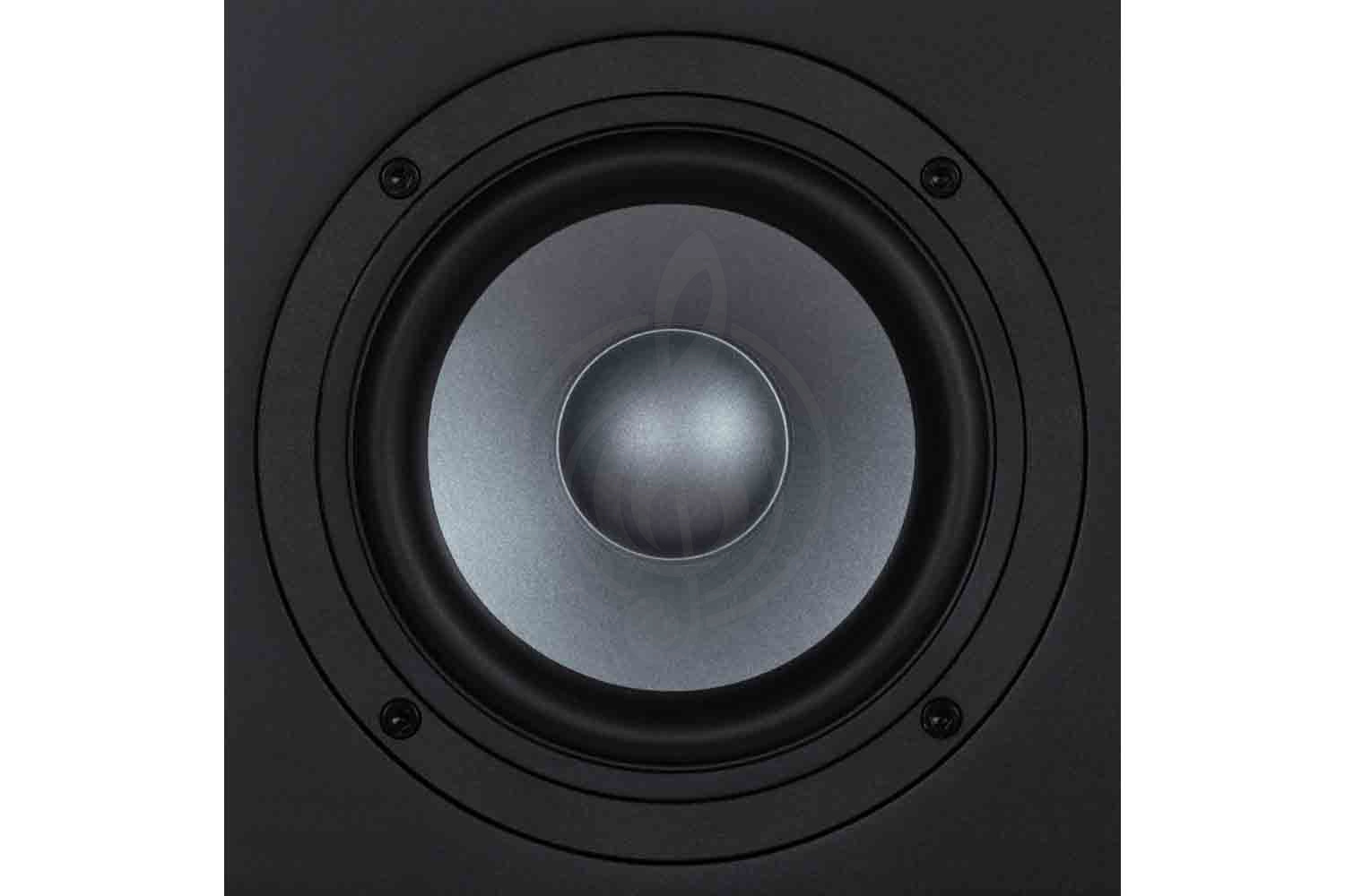 Студийный монитор EVE Audio EXO-25 - Студийный монитор, 280Вт, EVE Audio EXO-25 в магазине Доминанта мьюзик - фото 4