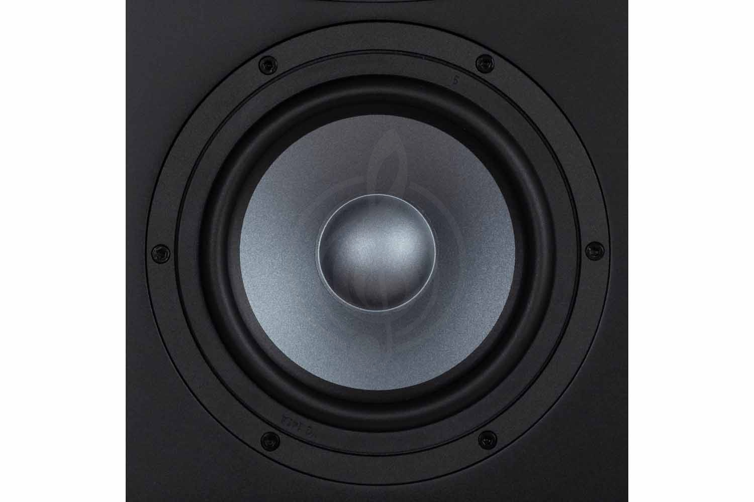 Студийный монитор EVE Audio EXO-27 - Студийный монитор, EVE Audio EXO-27 в магазине Доминанта мьюзик - фото 4