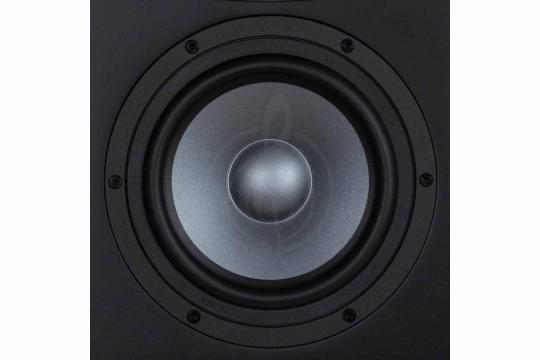 Студийный монитор EVE Audio EXO-27 - Студийный монитор, EVE Audio EXO-27 в магазине Доминанта мьюзик - фото 4