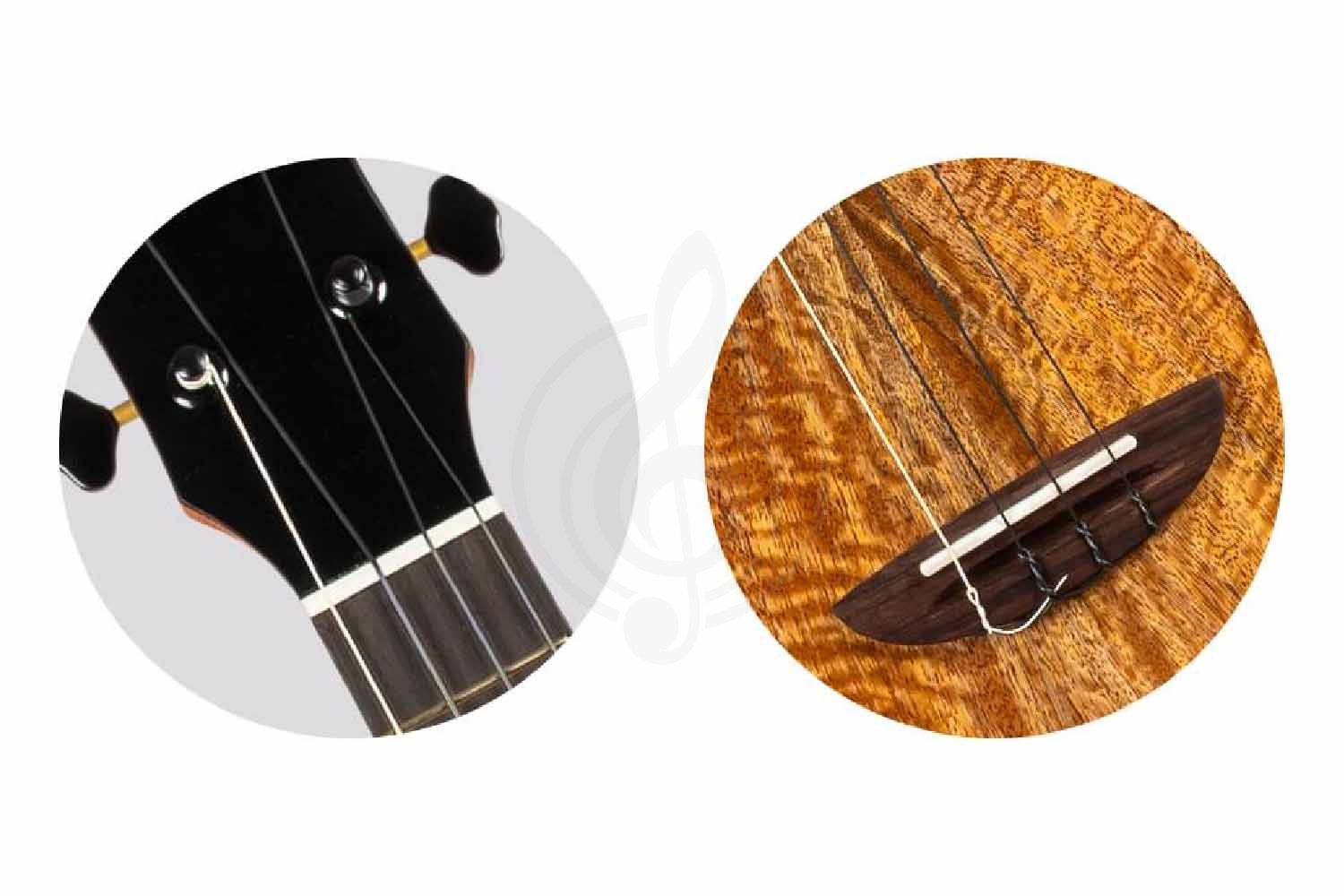 Укулеле тенор FLIGHT AVIATOR Mango Tenor CE - Укулеле тенор, Flight AVIATOR Mango Tenor CE в магазине Доминанта мьюзик - фото 7