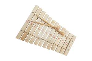 Изображение Ксилофон Flight FX-12