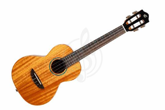 Изображение IRIS Tinta Tenor NA