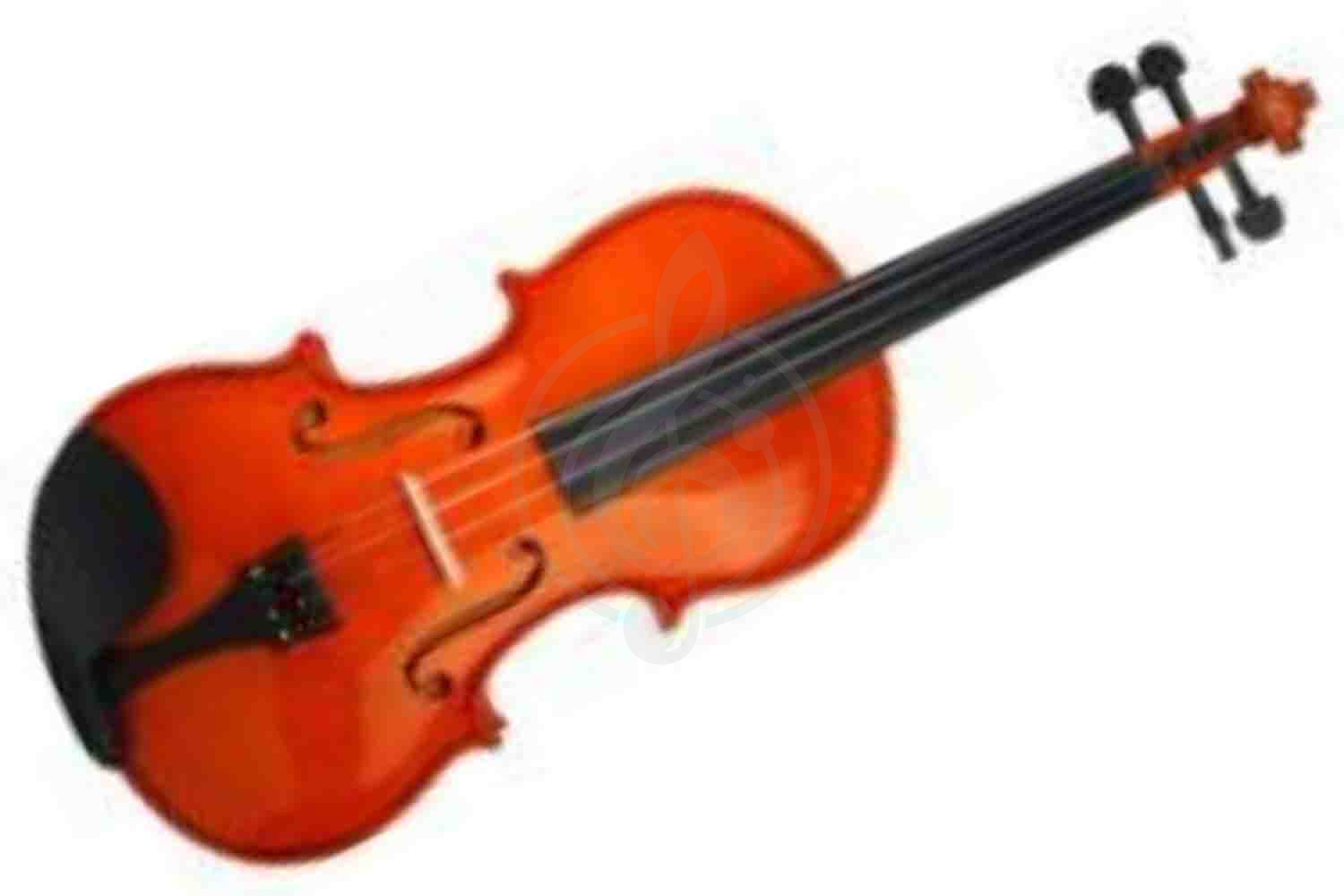 Скрипка 3/4 Foix FVP-01A-3/4 - Скрипка студенческая 3/4, Foix FVP-01A-3/4 в магазине DominantaMusic - фото 1