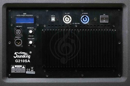  G210SA Сабвуфер активный, элемент линейного массива, Soundking, Soundking G210SA в магазине DominantaMusic - фото 2