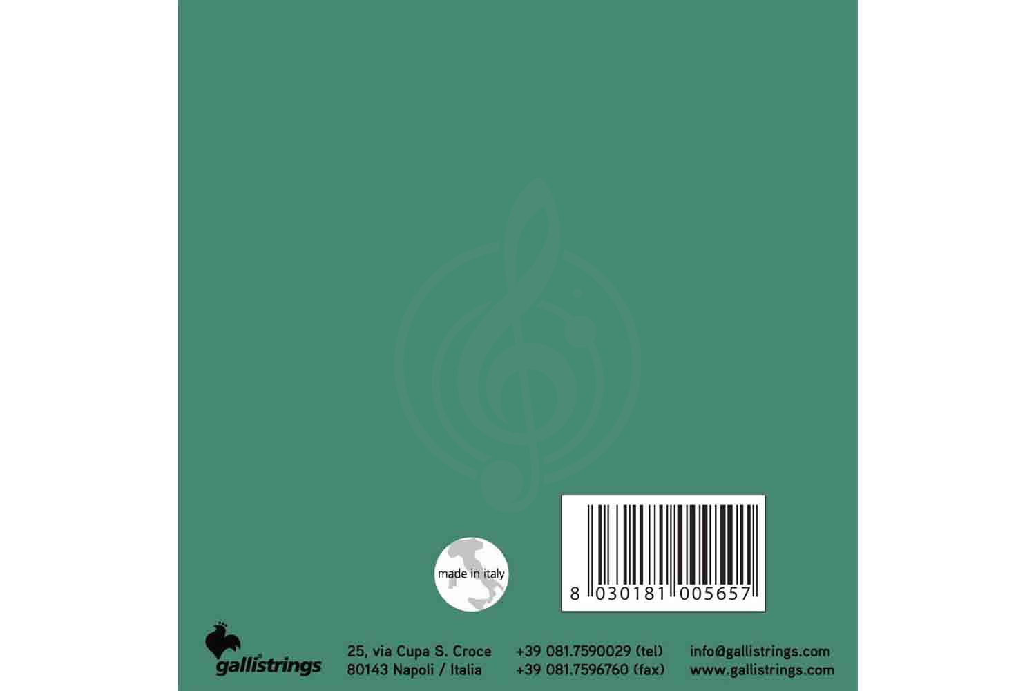 Струны для банджо GALLI STRINGS G210 - Струны для банджо,  G210 в магазине DominantaMusic - фото 2