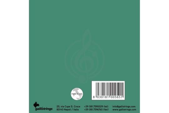 Струны для банджо GALLI STRINGS G210 - Струны для банджо,  G210 в магазине DominantaMusic - фото 2