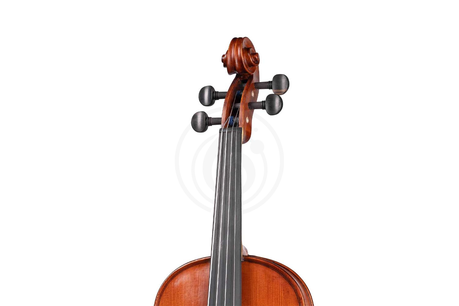 Скрипка 4/4 Gliga AW-V044 Workshop Gems 1 - Скрипка 4/4, Strunal AW-V044 в магазине DominantaMusic - фото 5