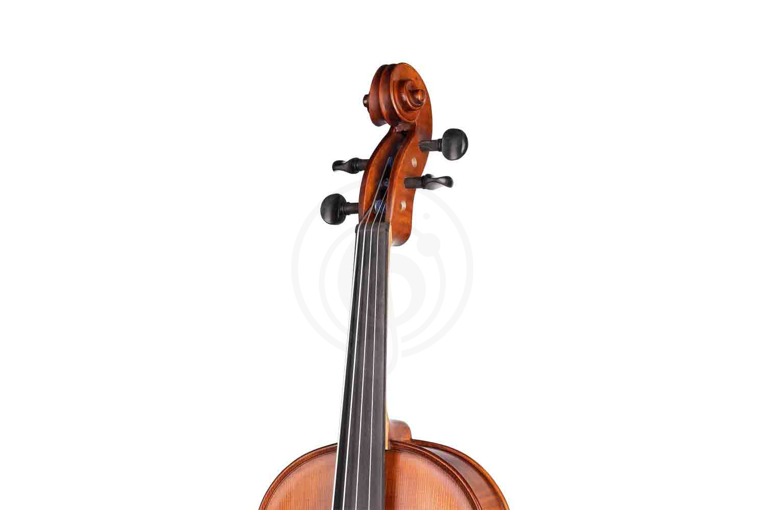 Альт Gliga AW-V16 Workshop Gems 1 - Альт, Gliga AW-V16 в магазине Доминанта мьюзик - фото 2