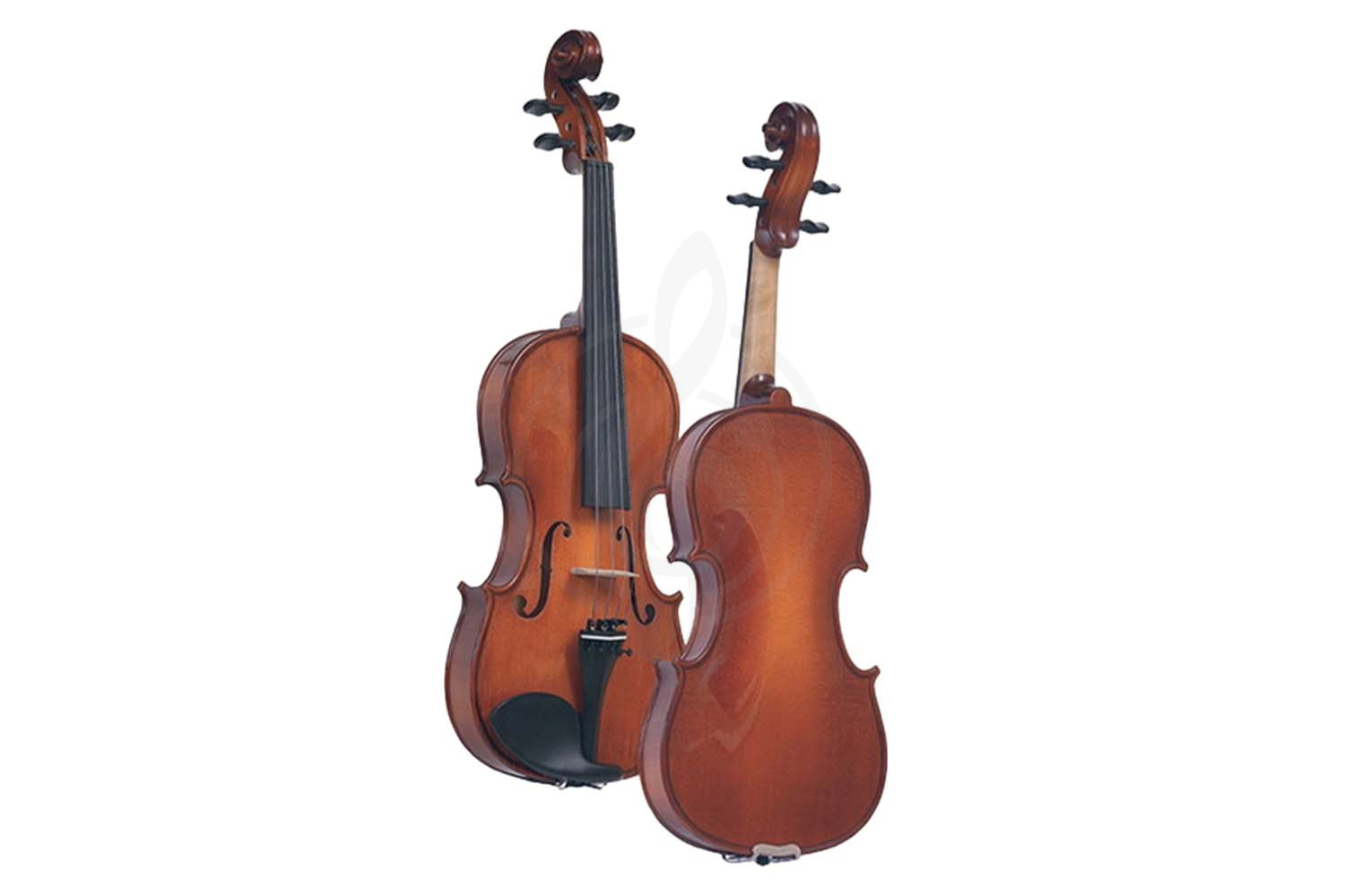 Скрипка 1/4 Gliga B-V014 Beginer Genial 2 Nitro - Скрипка 1/4, Gliga B-V014 в магазине DominantaMusic - фото 2
