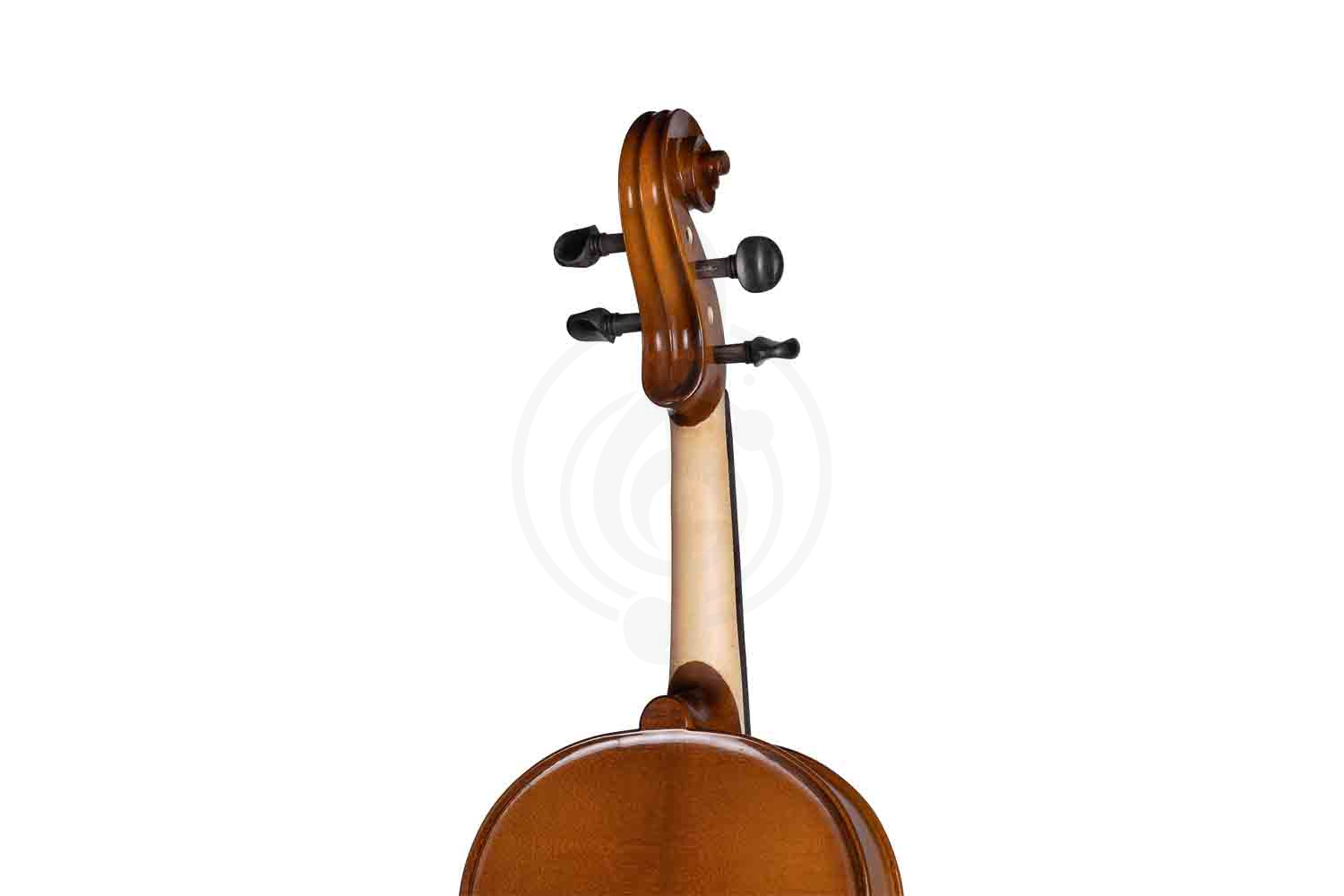 Альт Gliga B-V155 Beginer Genial 2 Nitro - Альт, Gliga B-V155 в магазине Доминанта мьюзик - фото 2