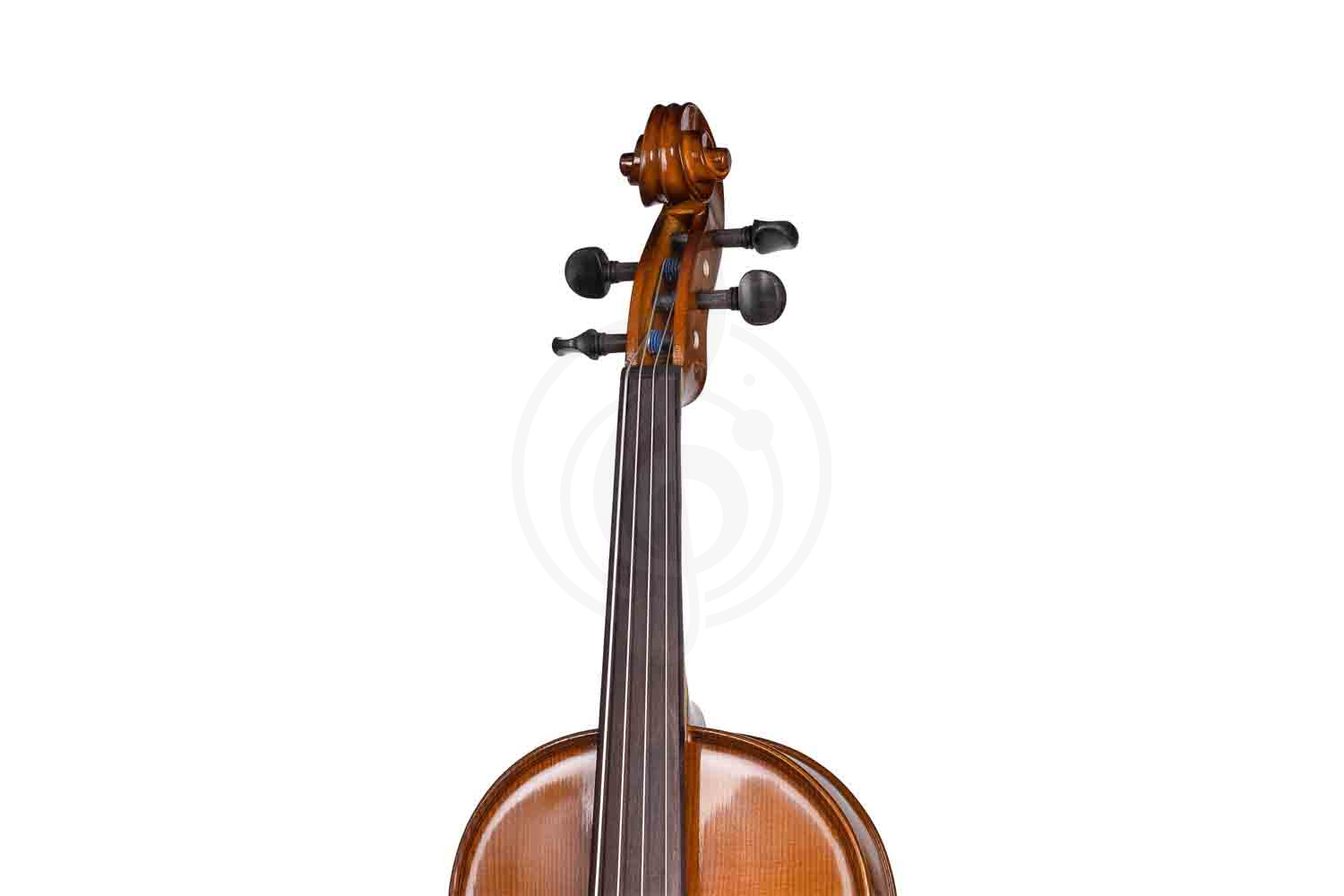 Альт Gliga B-V16 Beginer Genial 2 Nitro - Альт, Gliga B-V16 в магазине Доминанта мьюзик - фото 5