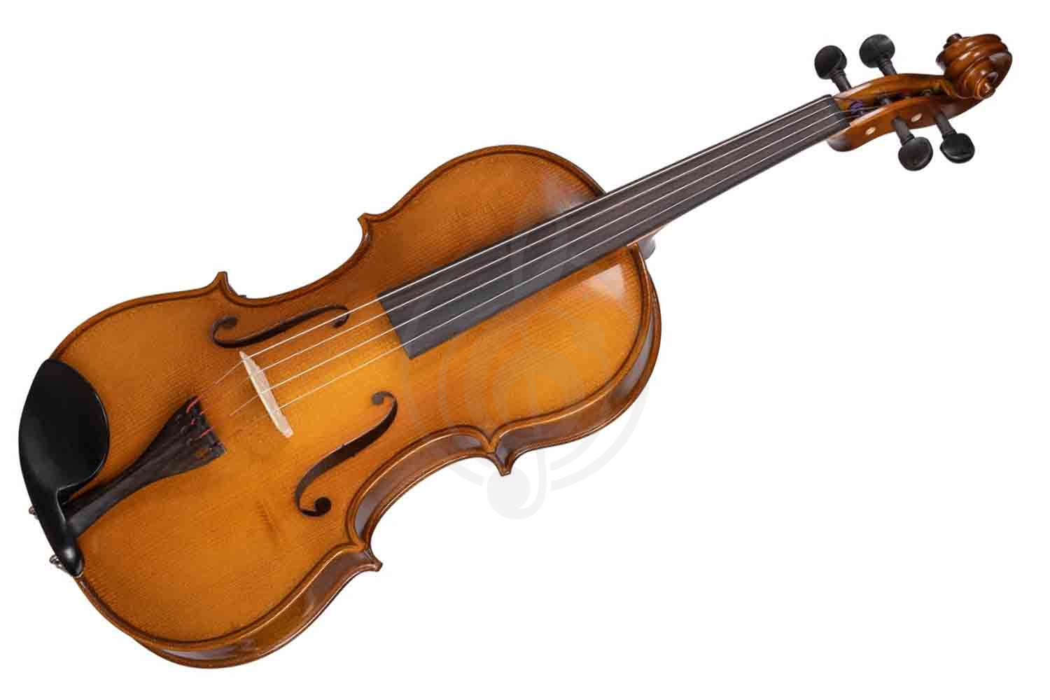 Альт Gliga B-V165 Beginer Genial 2 Nitro - Альт, Gliga B-V165 в магазине Доминанта мьюзик - фото 1