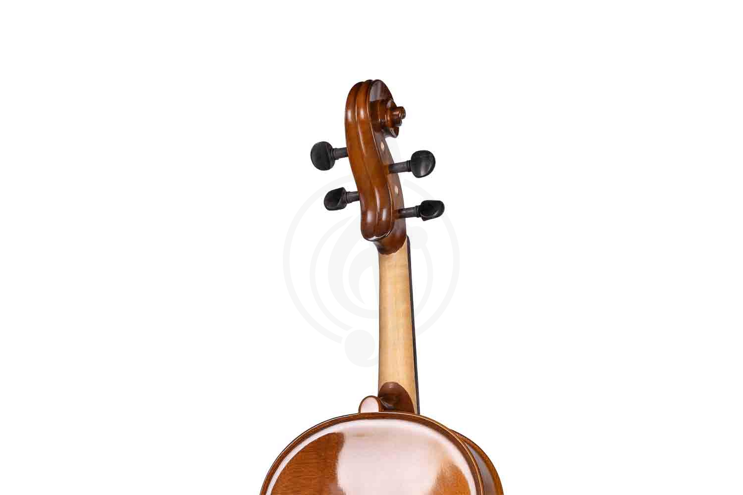 Альт Gliga B-V165 Beginer Genial 2 Nitro - Альт, Gliga B-V165 в магазине Доминанта мьюзик - фото 2