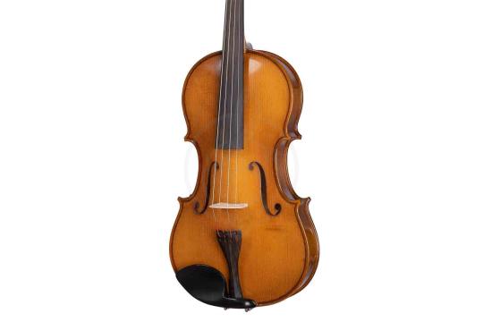 Альт Gliga B-V165 Beginer Genial 2 Nitro - Альт, Gliga B-V165 в магазине Доминанта мьюзик - фото 6