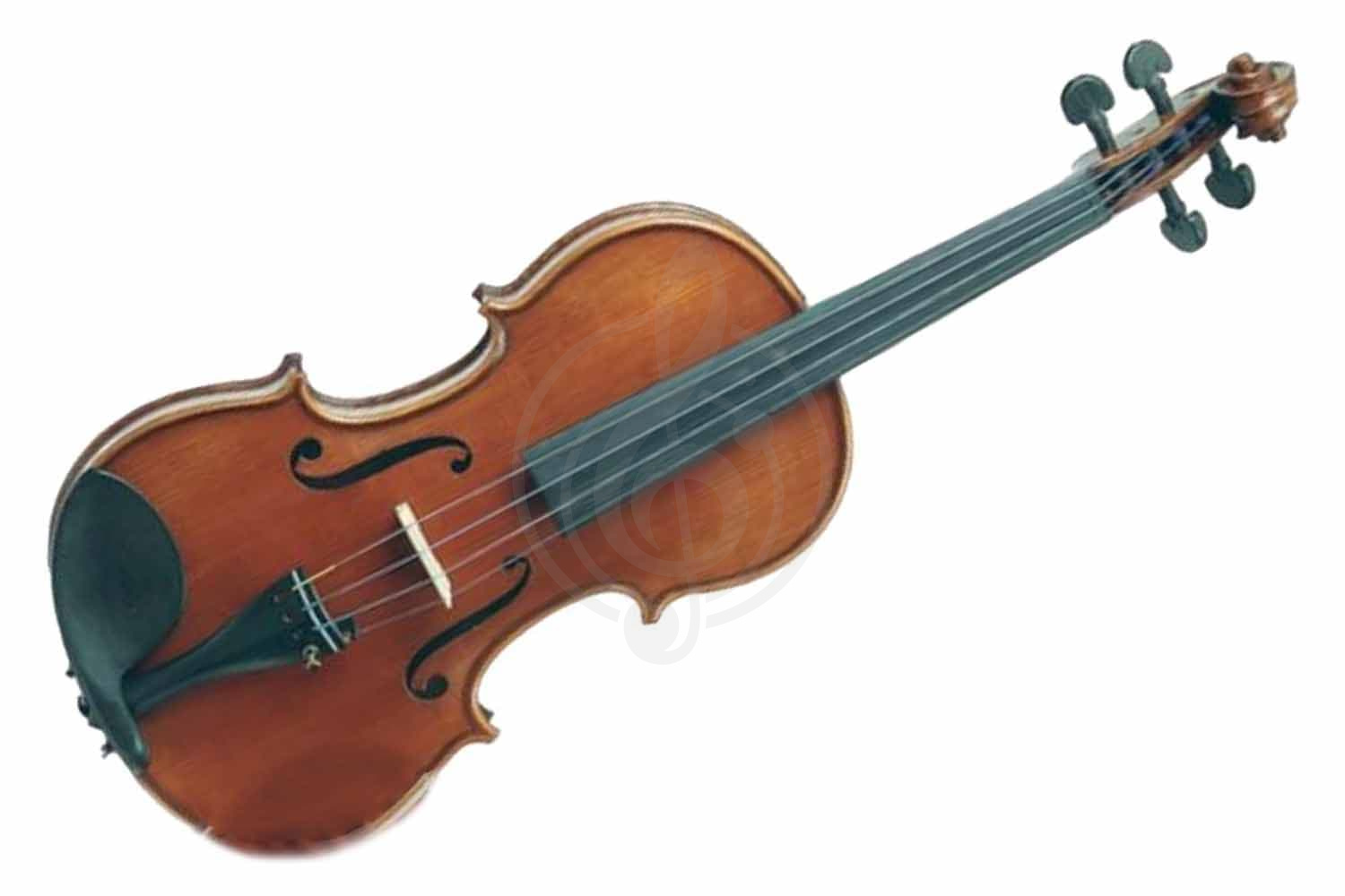 Скрипка 4/4 Gliga M-V044-N Master Gliga extra Walnut - Скрипка 4/4, Gliga M-V044-N в магазине DominantaMusic - фото 1
