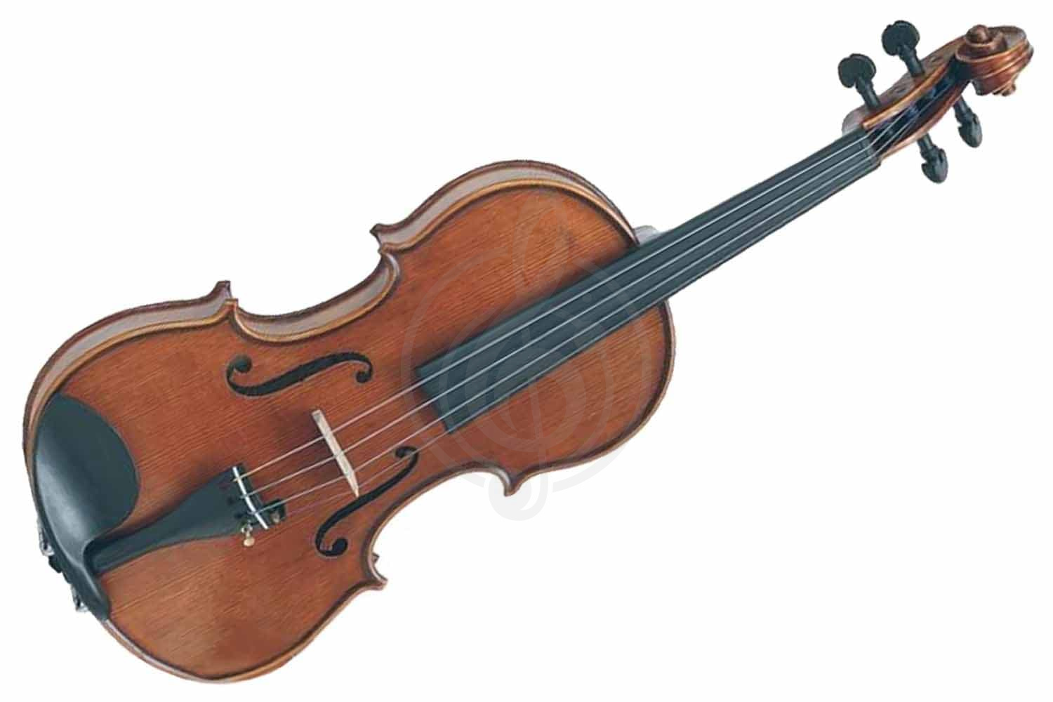 Скрипка 4/4 Gliga M-V044-OH Master Gliga extra Ash - Скрипка 4/4, Gliga M-V044-OH в магазине DominantaMusic - фото 1