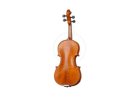 Скрипка 4/4 Gliga PS-V044 Professional Gama Super - Скрипка 4/4,  PS-V044 в магазине DominantaMusic - фото 2