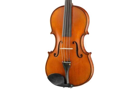 Альт Gliga PS-V165 Professional Gama super - Альт, Gliga PS-V165 в магазине Доминанта мьюзик - фото 5