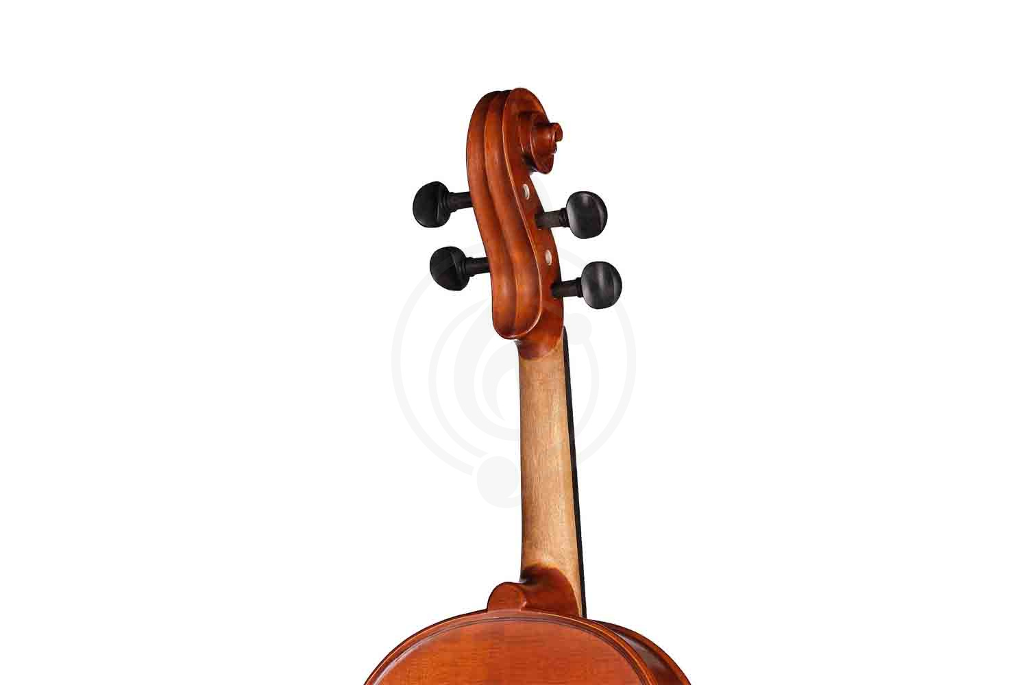 Альт Gliga S-V155 Student Genial 1 Oil - Альт, Gliga S-V155 в магазине Доминанта мьюзик - фото 2