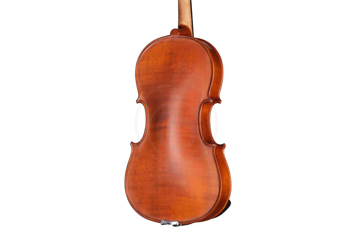 Альт Gliga S-V155 Student Genial 1 Oil - Альт, Gliga S-V155 в магазине Доминанта мьюзик - фото 3