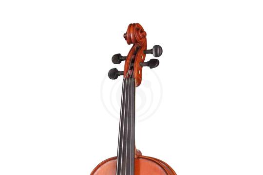 Альт Gliga S-V155 Student Genial 1 Oil - Альт, Gliga S-V155 в магазине Доминанта мьюзик - фото 5