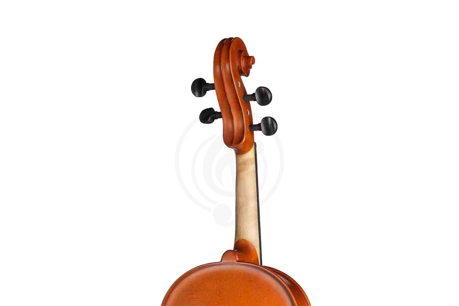 Альт Gliga S-V16 Student Genial 1 Oil - Альт, Gliga S-V16 в магазине Доминанта мьюзик - фото 2