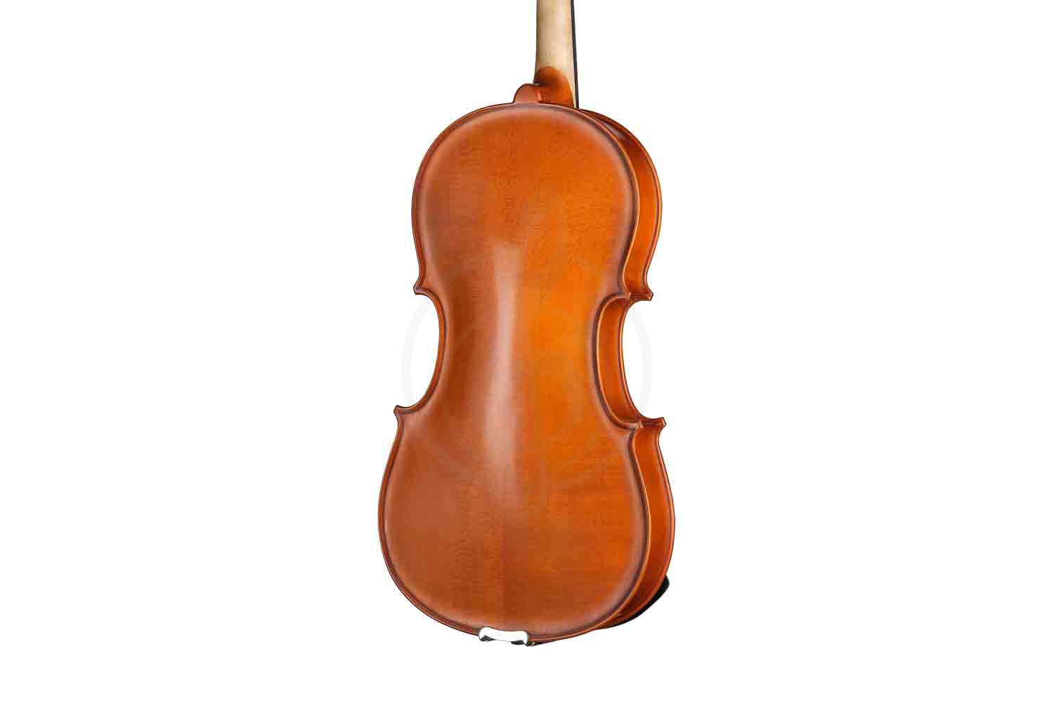 Альт Gliga S-V16 Student Genial 1 Oil - Альт, Gliga S-V16 в магазине Доминанта мьюзик - фото 3