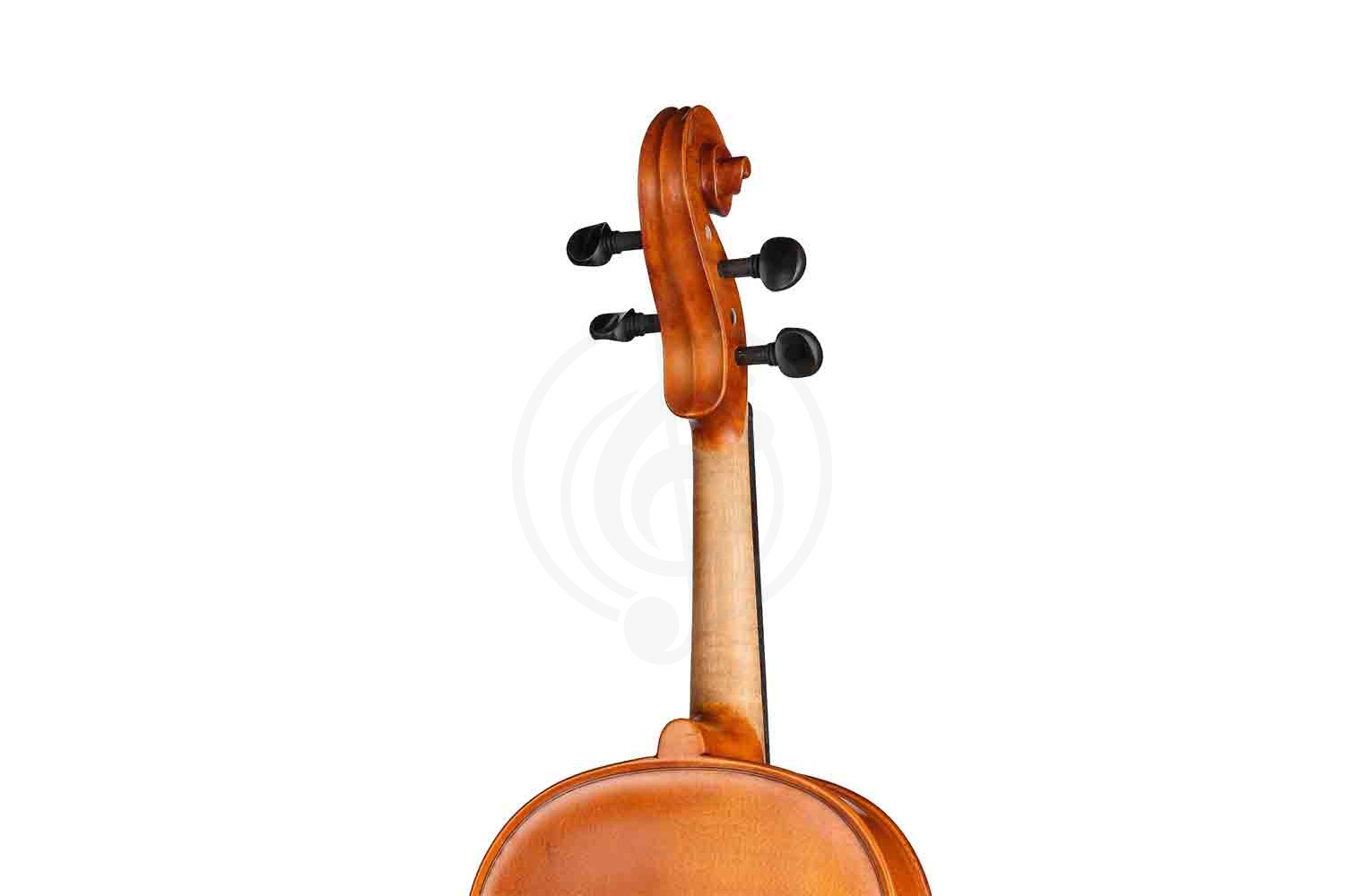 Альт Gliga S-V165 Student Genial 1 Oil - Альт, Gliga S-V165 в магазине Доминанта мьюзик - фото 2